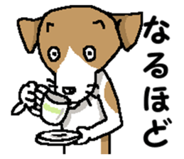 Jack dog 5 sticker #12434709