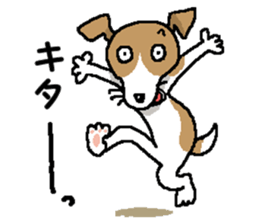 Jack dog 5 sticker #12434718