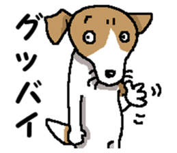 Jack dog 5 sticker #12434725