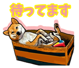 Funny face Japanese Shiba inu sticker sticker #12434738