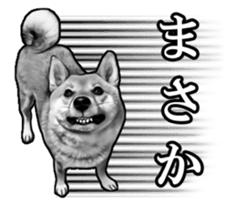 Funny face Japanese Shiba inu sticker sticker #12434748