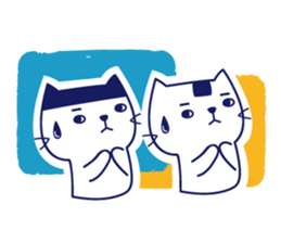 Twins cat's daily sticker #12437579