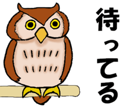 Convenient when used with housemate sticker #12439257