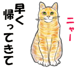 Convenient when used with housemate sticker #12439258