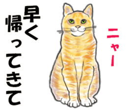 Convenient when used with housemate sticker #12439258