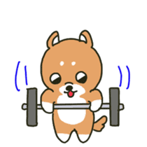 Muscle training dog2 sticker #12441246