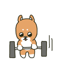 Muscle training dog2 sticker #12441250