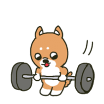 Muscle training dog2 sticker #12441251