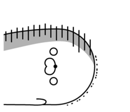 Nozarashisan. First day sticker #12442944