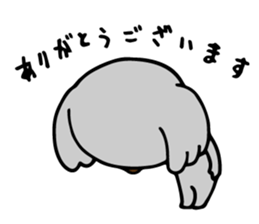 Big-eared koala sticker #12443606