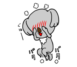 Big-eared koala sticker #12443611