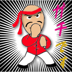 People of the kung fu pose