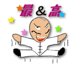 People of the kung fu pose sticker #12444837