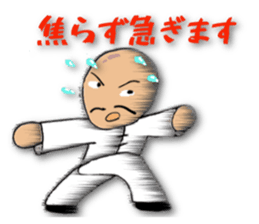 People of the kung fu pose sticker #12444838