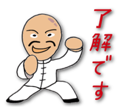 People of the kung fu pose sticker #12444840