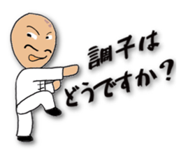 People of the kung fu pose sticker #12444844