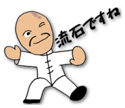 People of the kung fu pose sticker #12444846