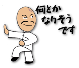 People of the kung fu pose sticker #12444857