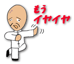 People of the kung fu pose sticker #12444865