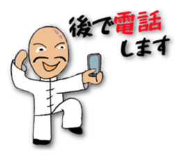 People of the kung fu pose sticker #12444866