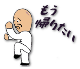 People of the kung fu pose sticker #12444867