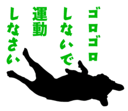 Life of French Bulldog Amelie No.2 sticker #12445062