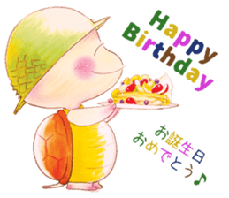 Hawaiian CONU sticker #12445078