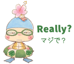 Hawaiian CONU sticker #12445088