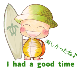 Hawaiian CONU sticker #12445090