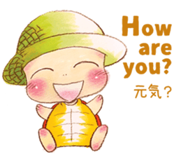 Hawaiian CONU sticker #12445095