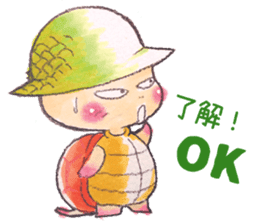 Hawaiian CONU sticker #12445109