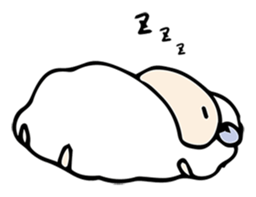 Company of a sheep sticker #12446338