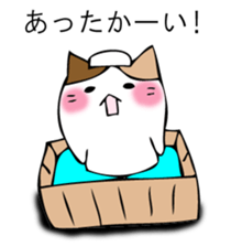 Mr. cat cat sticker #12448799