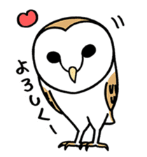 Sticker of barn owl sticker #12459494