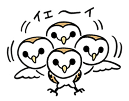 Sticker of barn owl sticker #12459497