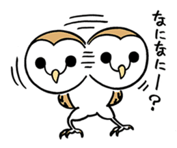 Sticker of barn owl sticker #12459498