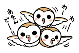Sticker of barn owl sticker #12459503