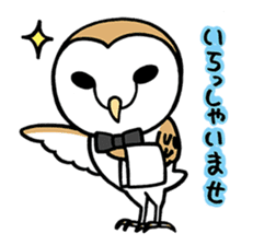 Sticker of barn owl sticker #12459504