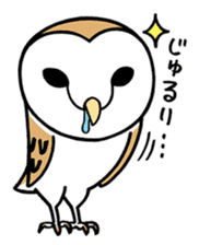 Sticker of barn owl sticker #12459507
