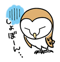Sticker of barn owl sticker #12459511