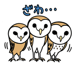 Sticker of barn owl sticker #12459516