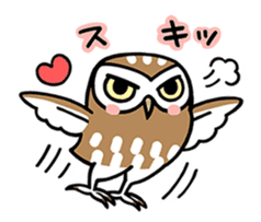Sticker of barn owl sticker #12459521