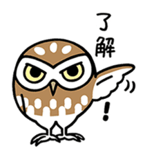 Sticker of barn owl sticker #12459522