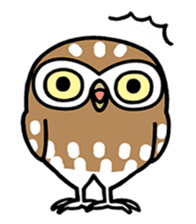 Sticker of barn owl sticker #12459526