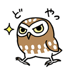 Sticker of barn owl sticker #12459527