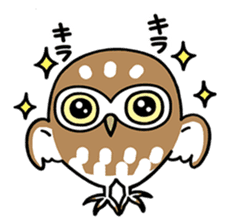 Sticker of barn owl sticker #12459528