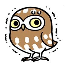 Sticker of barn owl sticker #12459530