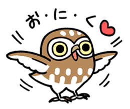 Sticker of barn owl sticker #12459533