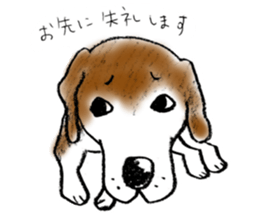 He is a beagle. sticker #12463455