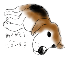 He is a beagle. sticker #12463456